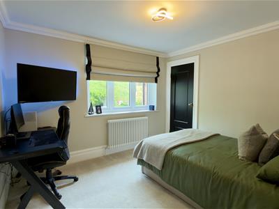 Picture 27